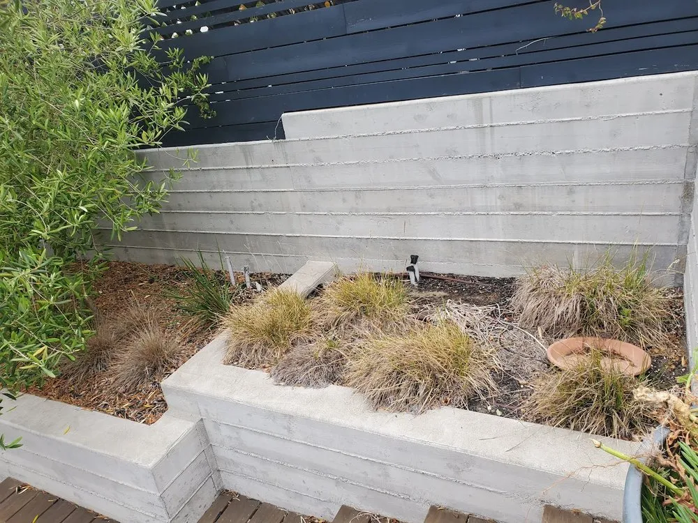 Local landscape design near you in San Francisco, CA by SF Gardening Services
