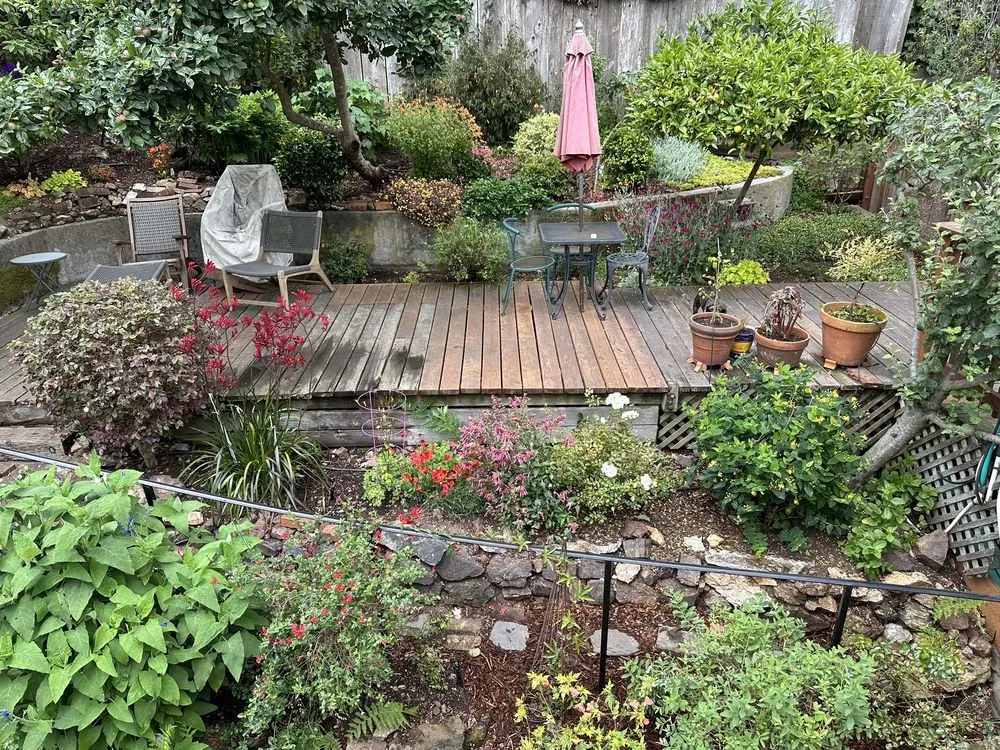Custom yard maintenance for outdoor upgrades in San Francisco, CA by SF Gardening Services