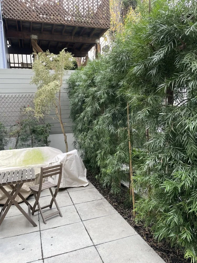 Reliable landscape installation in San Francisco, CA by SF Gardening Services