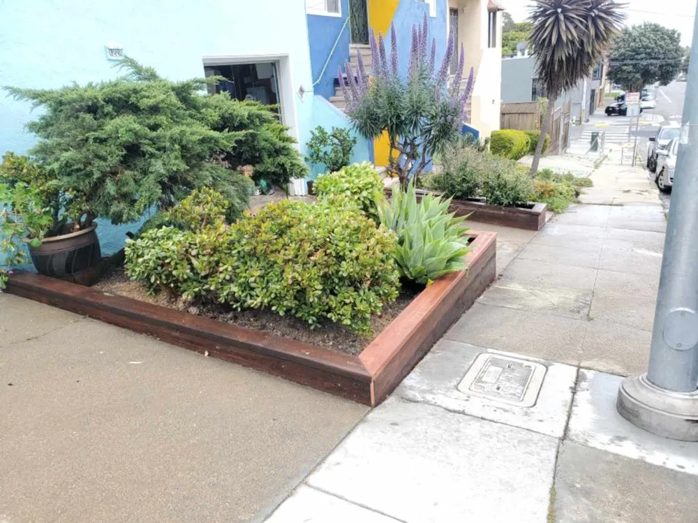 Affordable lawn mowing service experts serving San Francisco, CA - SF Gardening Services