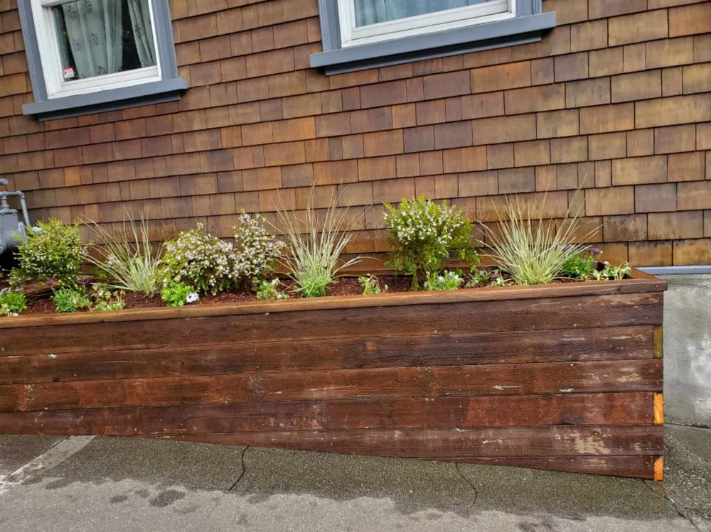 Professional landscape installation experts serving San Francisco, CA - SF Gardening Services