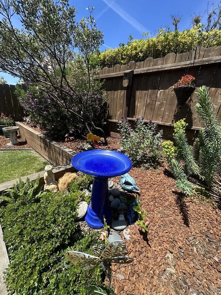 Professional lawn mowing service for homes across San Francisco, CA - SF Gardening Services