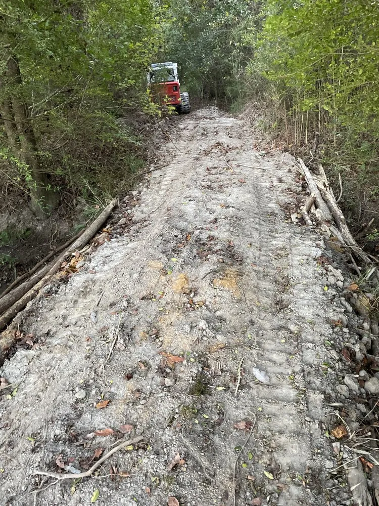 Professional landscape design for beautiful yards in Richlands, NC by SF Land Improvement