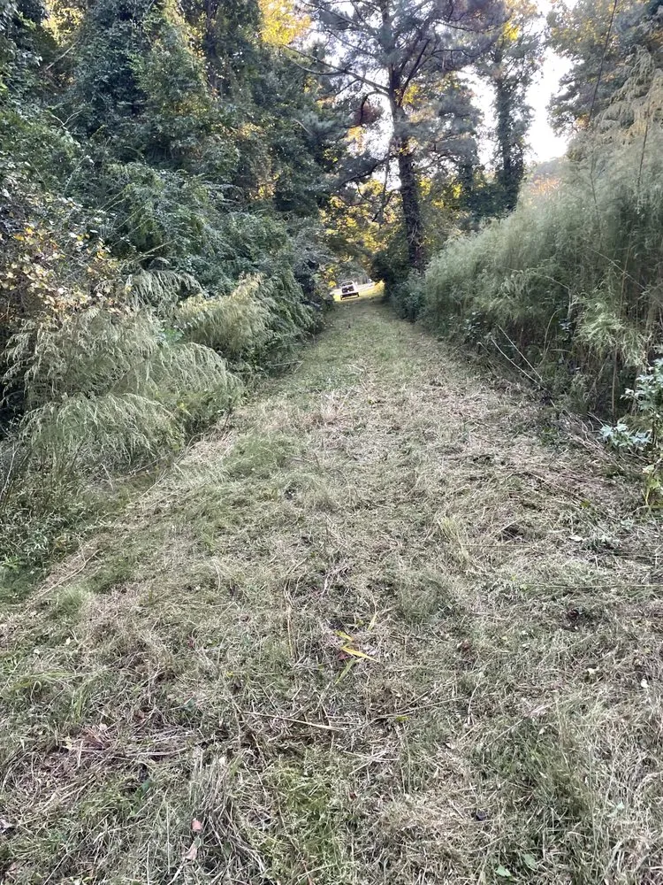 Trusted yard maintenance experts serving Richlands, NC - SF Land Improvement