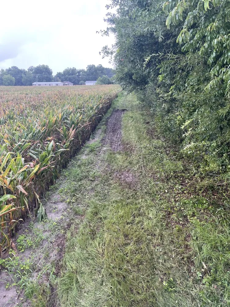 Local landscaping services for year-round maintenance in Richlands, NC by SF Land Improvement