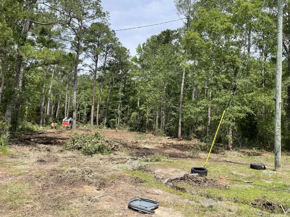 Trusted yard cleanup service experts serving Richlands, NC - SF Land Improvement