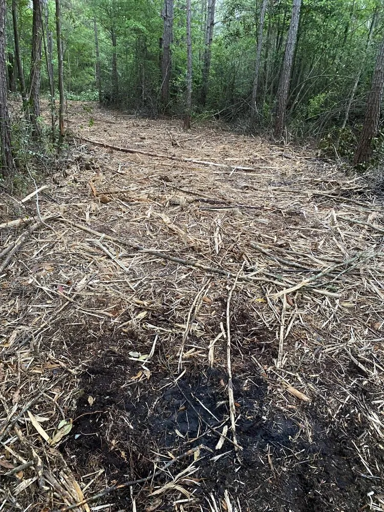 Reliable yard maintenance experts serving Richlands, NC - SF Land Improvement