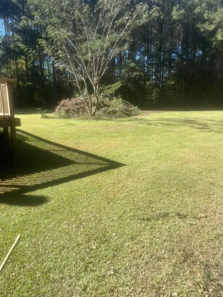 Reliable landscaping services experts serving Richlands, NC - SF Land Improvement