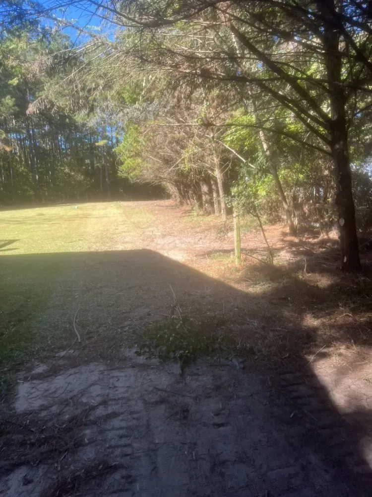 Expert lawn mowing service in Richlands, NC - SF Land Improvement