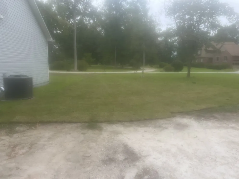 Local yard cleanup service in Richlands, NC by SF Land Improvement