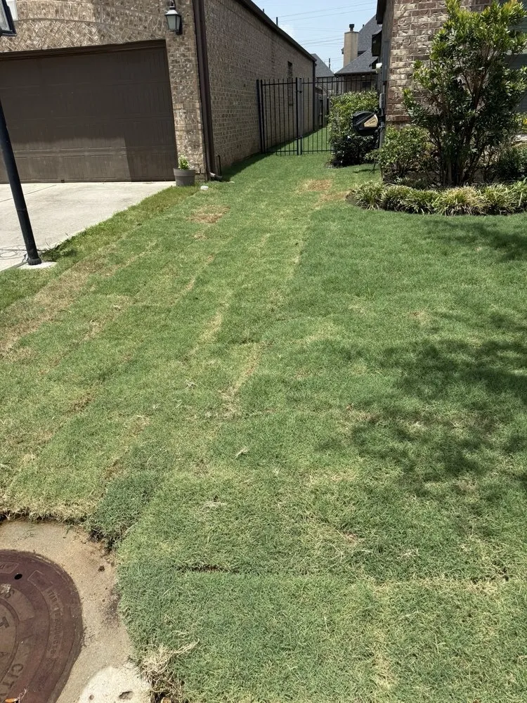 Top-rated landscape design in Stafford, TX by S&F Landscaping and Junk Removal