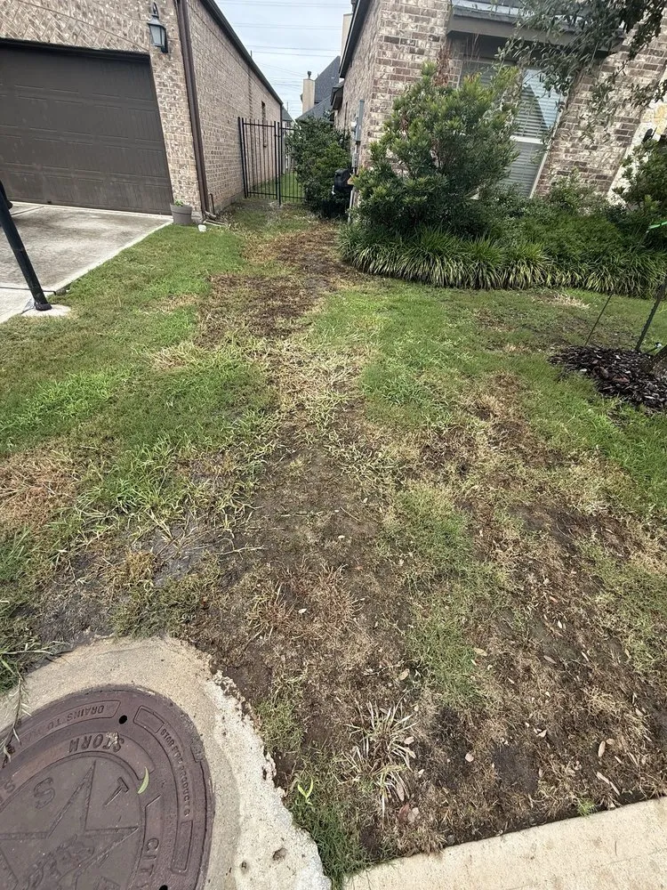 Professional landscaping services near you across Stafford, TX - S&F Landscaping and Junk Removal