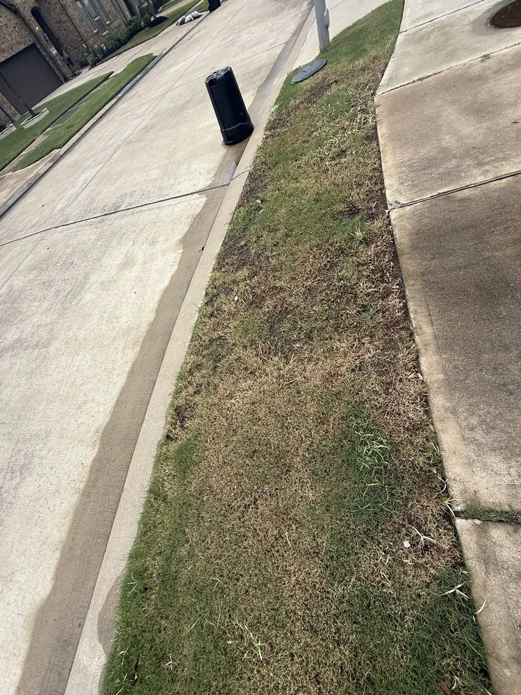 Local landscaping services experts serving Stafford, TX - S&F Landscaping and Junk Removal