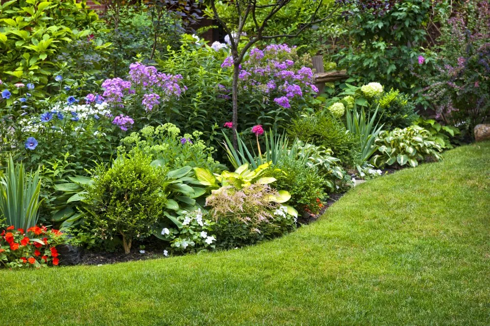 Affordable lawn care service for beautiful yards across Canton, OH - S&F Landscaping and More