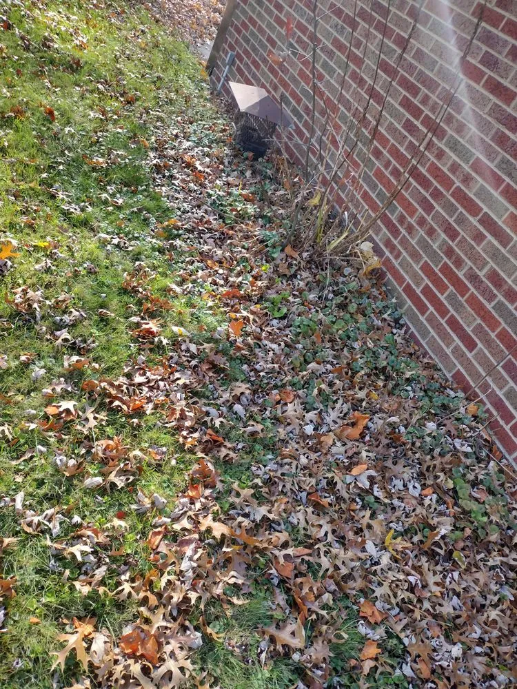 Expert yard cleanup service for homes across Canton, OH - S&F Landscaping and More