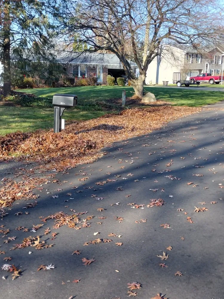 Custom yard cleanup service experts serving Canton, OH - S&F Landscaping and More