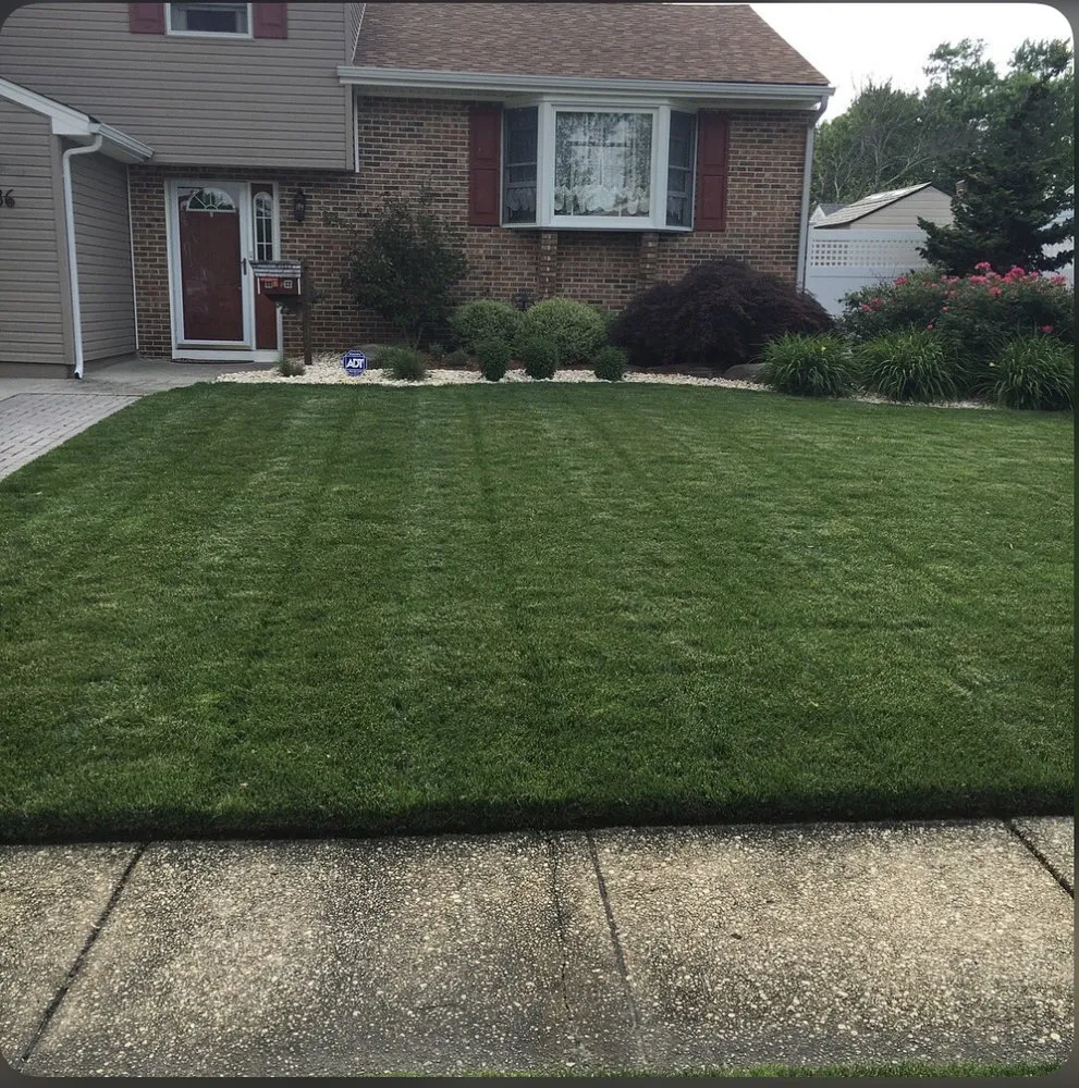 Trusted yard cleanup service in Cleveland, TN by SF Lawn Care