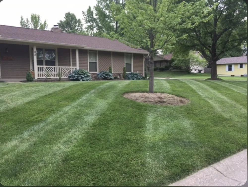 Affordable landscape installation in Cleveland, TN - SF Lawn Care
