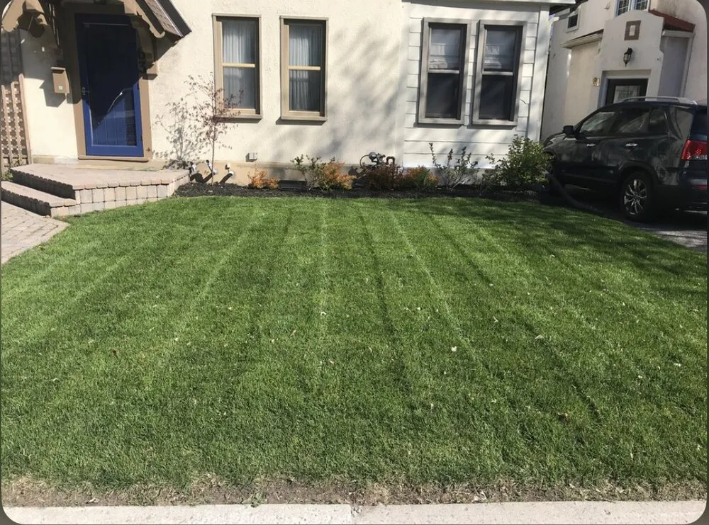 Reliable outdoor landscaping for year-round maintenance in Cleveland, TN by SF Lawn Care