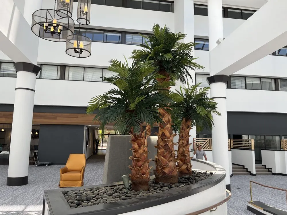 Top-rated yard cleanup service in Houston, TX - S.F.A. Landscaping