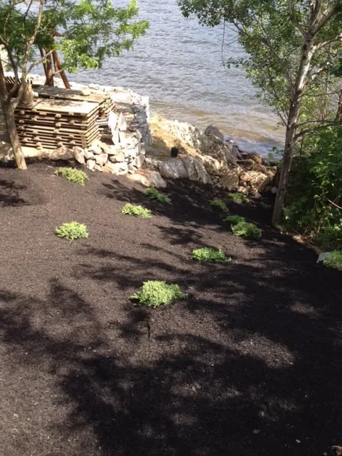 Top-rated yard maintenance in Brant Lake, NY by SFH Enterprises