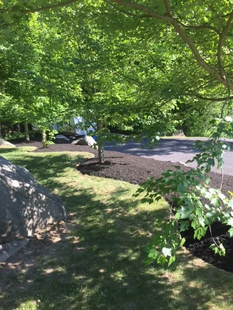 Local yard cleanup service with custom design in Brant Lake, NY by SFH Enterprises