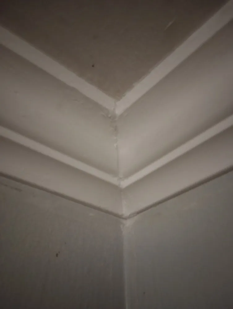 Top-rated yard cleanup service in Little River, SC by SFL Solutions