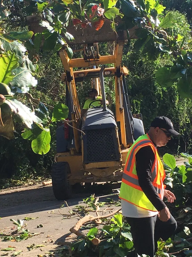 Top-rated residential landscaping for beautiful yards in Hialeah Gardens, FL by SFM Services