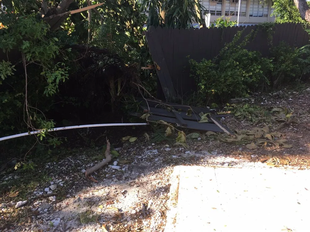 Professional outdoor landscaping experts serving Hialeah Gardens, FL - SFM Services