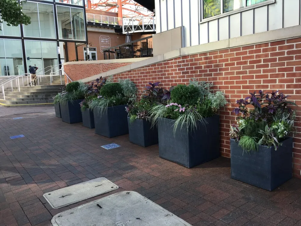 Affordable lawn care service in Saint Louis, MO - SFP Landscaping