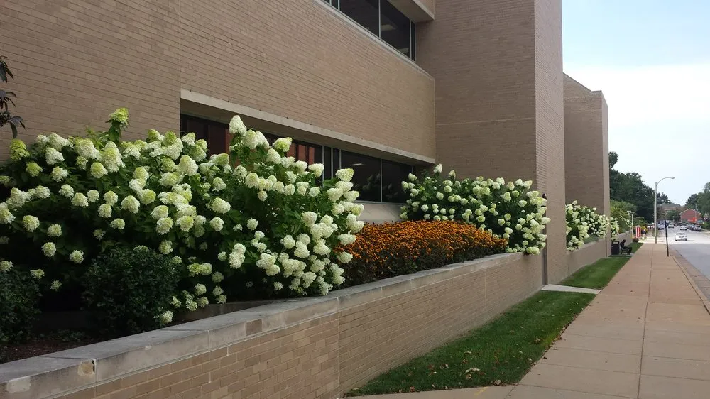 Trusted landscaping services for year-round maintenance across Saint Louis, MO - SFP Landscaping