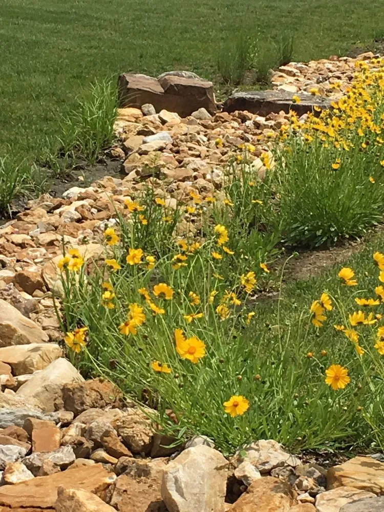 Reliable residential landscaping experts serving Saint Louis, MO - SFP Landscaping