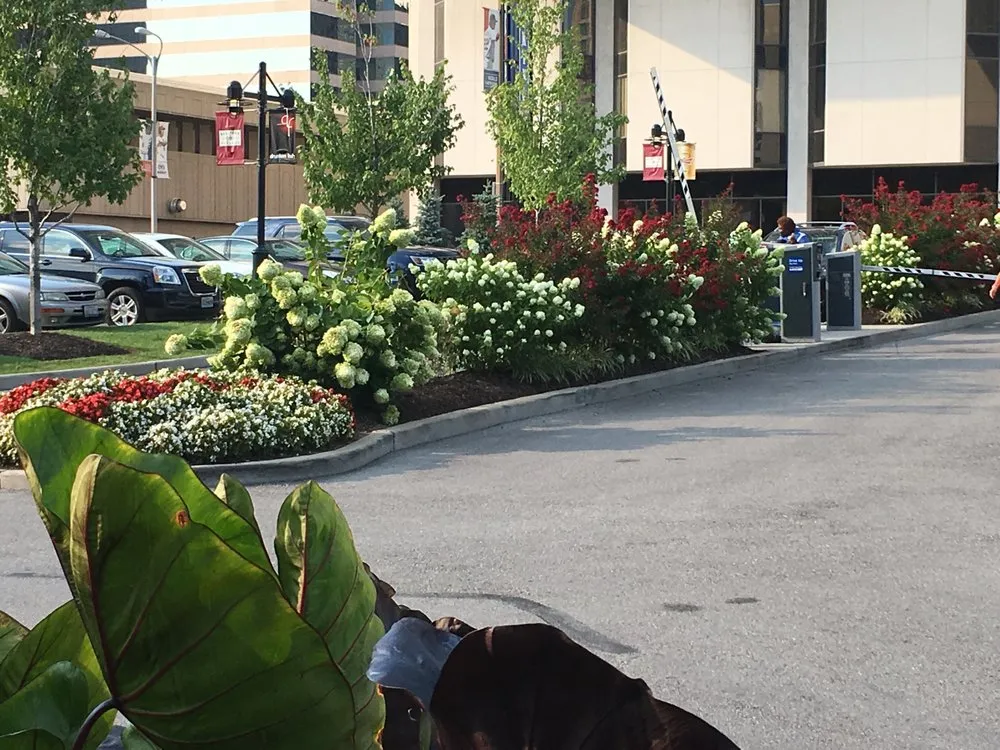 Professional garden landscaping in Saint Louis, MO by SFP Landscaping