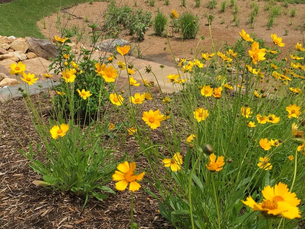 Local landscaping services for outdoor upgrades in Saint Louis, MO by SFP Landscaping