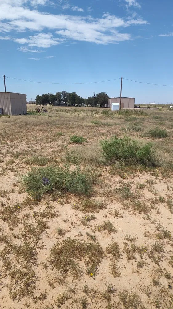 Professional yard cleanup service in Midland, TX by SG Brushworks