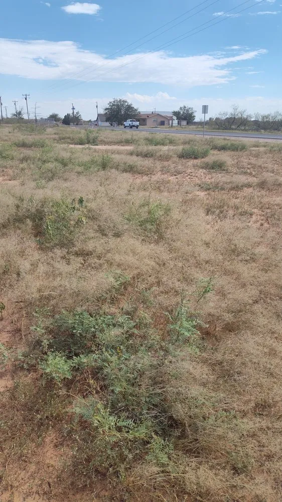 Custom landscape design experts serving Midland, TX - SG Brushworks