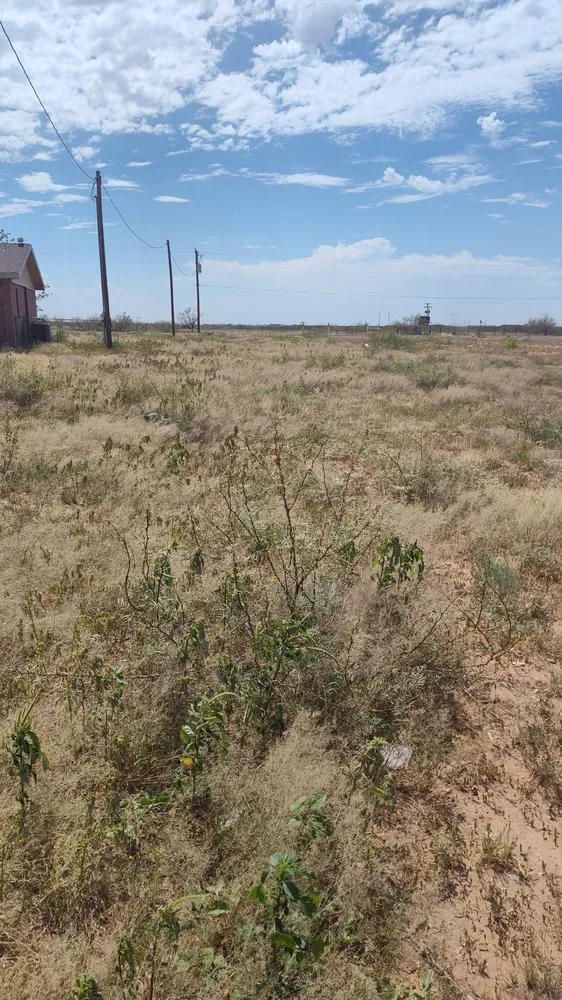 Affordable lawn mowing service for outdoor upgrades across Midland, TX - SG Brushworks