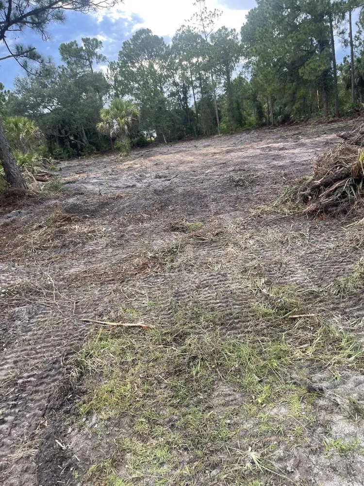 Professional residential landscaping experts serving Lehigh Acres, FL - S&G Contracting