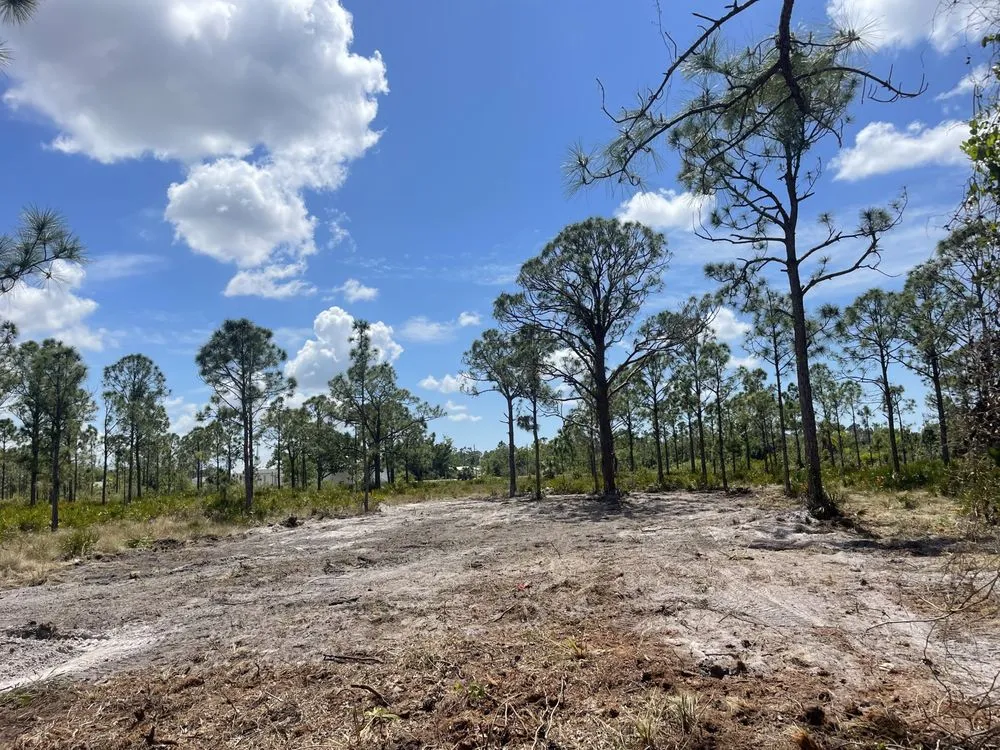 Reliable lawn mowing service in Lehigh Acres, FL by S&G Contracting