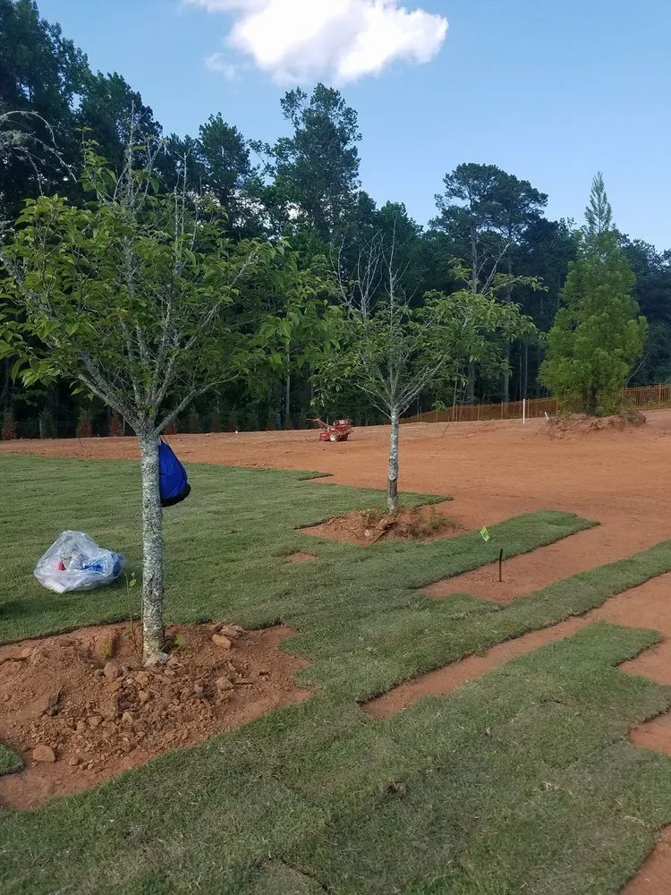 Professional residential landscaping for homes in Avondale Estates, GA by S&G Earthscapes