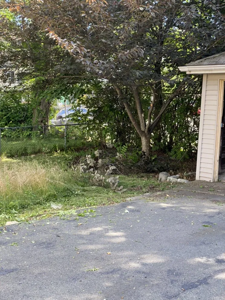 Custom lawn care service for residential properties in Quincy, MA by S&G Landscape Service