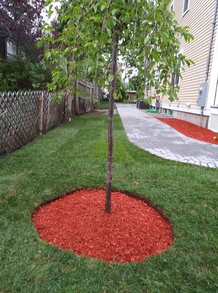 Affordable outdoor landscaping in Quincy, MA - S&G Landscape Service