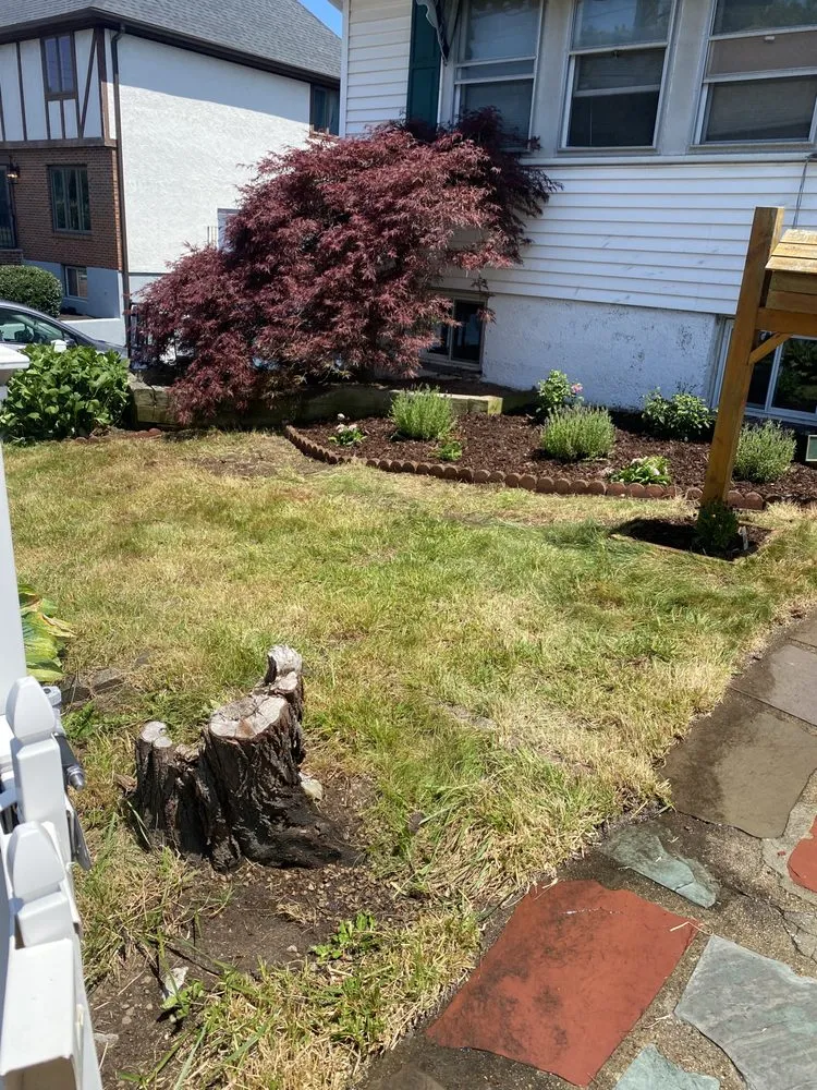 Affordable yard cleanup service for homes in Quincy, MA by S&G Landscape Service