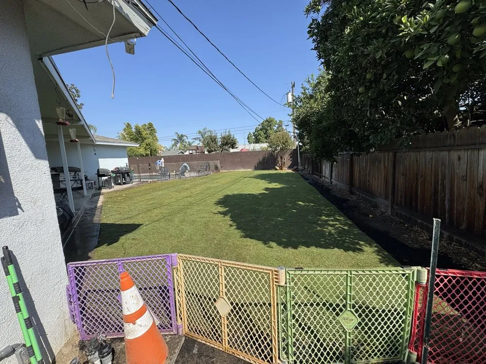 Top-rated landscape design in Reedley, CA - SG Landscapes