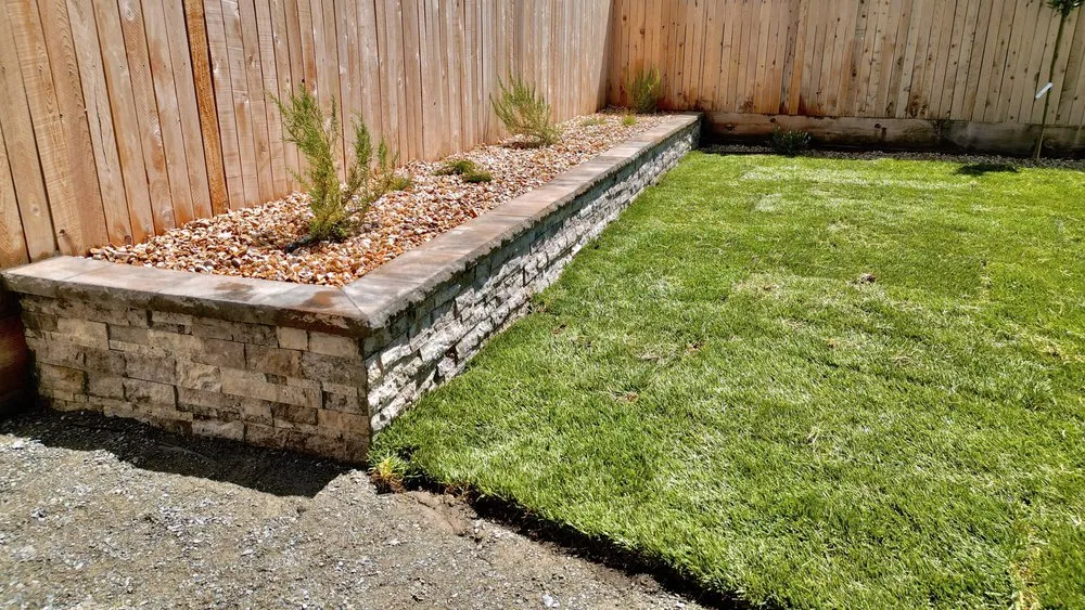 Expert lawn mowing service for year-round maintenance in Reedley, CA by SG Landscapes