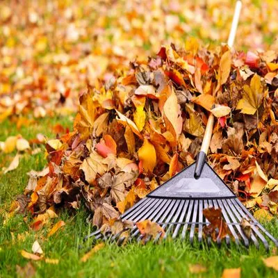 S&G Landscaping and Snow Removal Logo