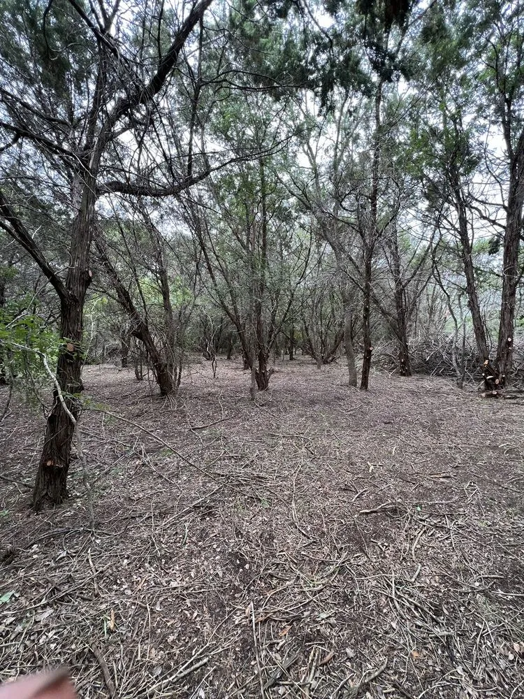 Professional lawn mowing service in Kyle, TX - S&G landscaping