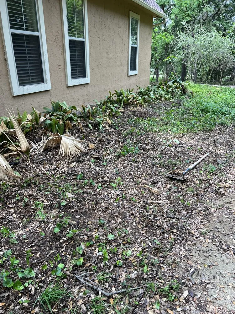 Top-rated landscaping services experts serving Kyle, TX - S&G landscaping