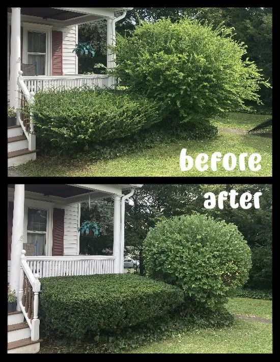 Local residential landscaping in Geneva, NY - SG Mowing