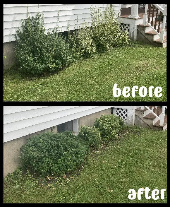 Reliable lawn care service in Geneva, NY - SG Mowing